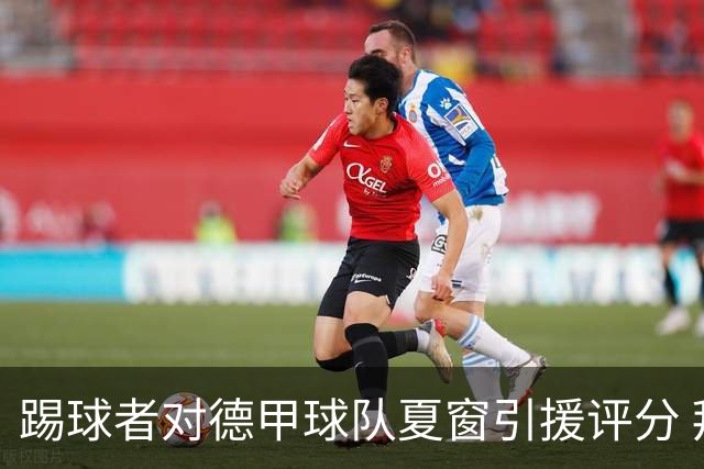 踢球者对德甲球队夏窗引援评分 拜仁第一多特第十